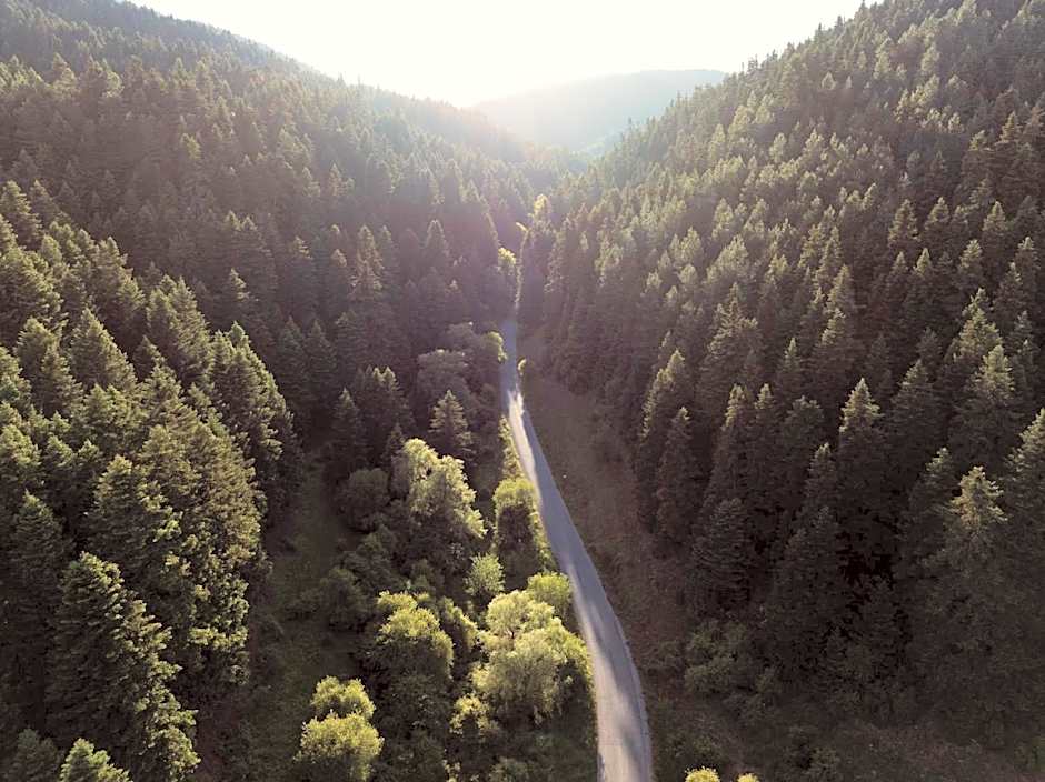 MANNA, a Member of Design Hotels