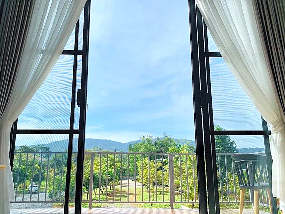 Napa