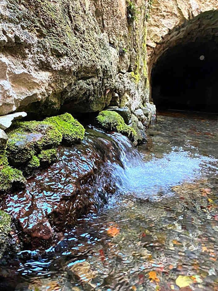Caserón De La Fuente