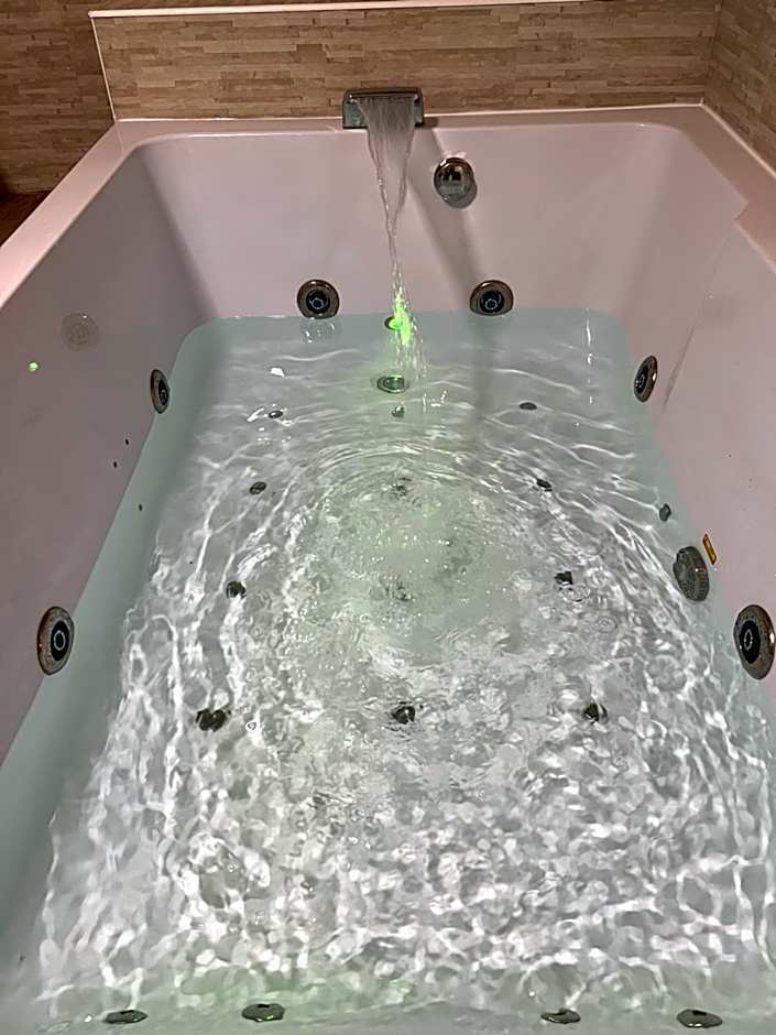 Magnifique Loft 35m2 Jacuzzi RVB NIGHT 1