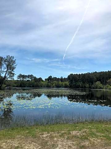 Village Vacances aux Villages sous les Pins