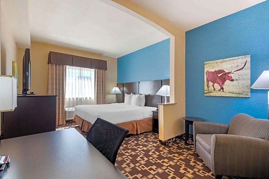 Best Western Plus Arlington North Hotel & Suites