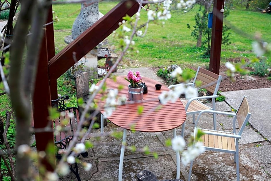 Na Okić - a private forest oasis