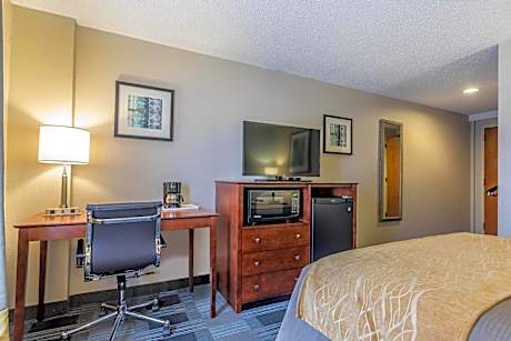Queen Room - Disability Access/Non-Smoking