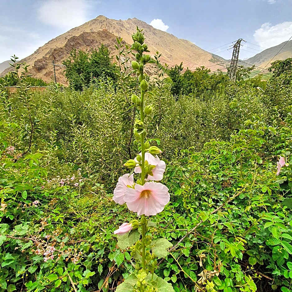 Dar Assarou - Toubkal National Park Lodge