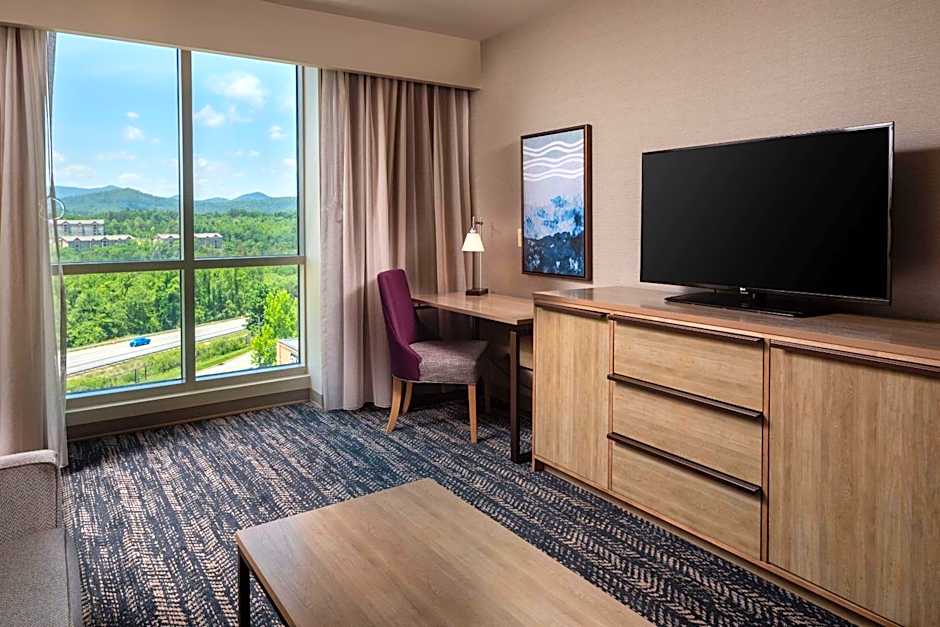 Hilton Asheville Biltmore Park
