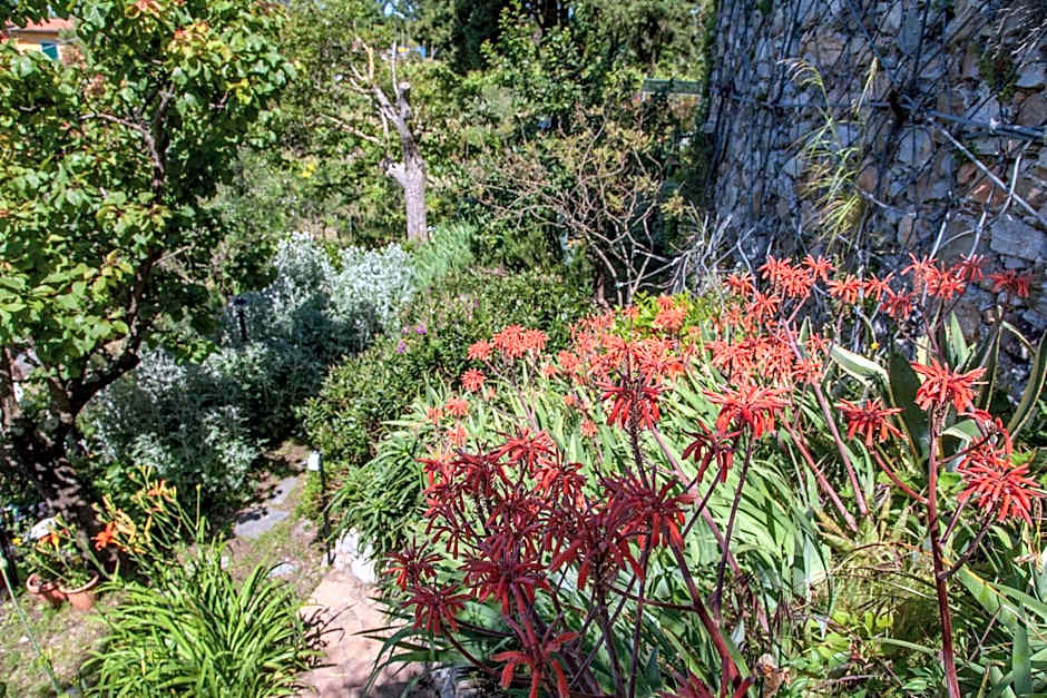 Pietrantica - Affittacamere con giardino NUOVA APERTURA a Trebiano -CITR
