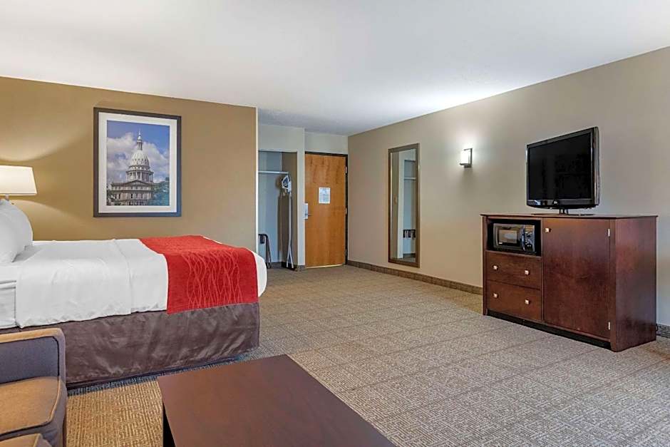 Comfort Inn Lansing West