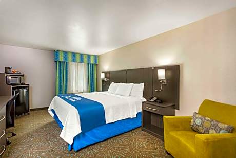 King Room - Non-Smoking (No Pets Allowed)