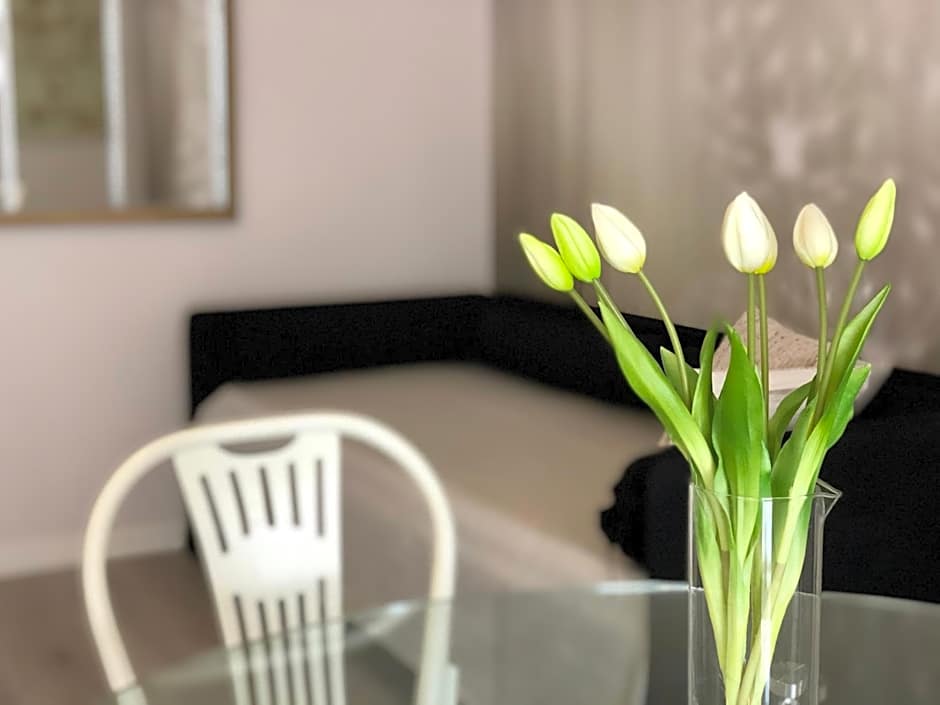 LUXORY BEACH APARTMENTS BELLARIA