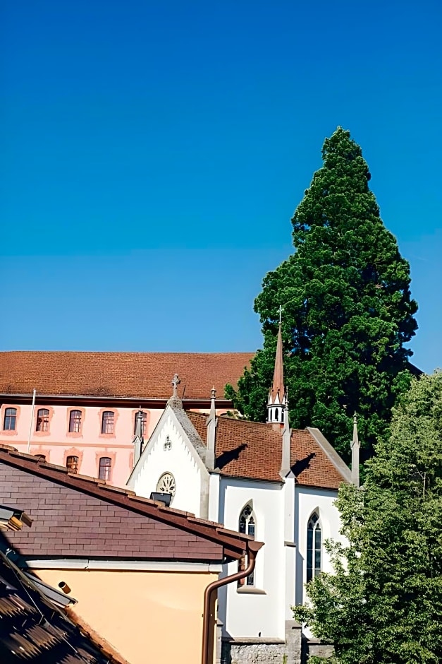 Hotel Luzern Engel