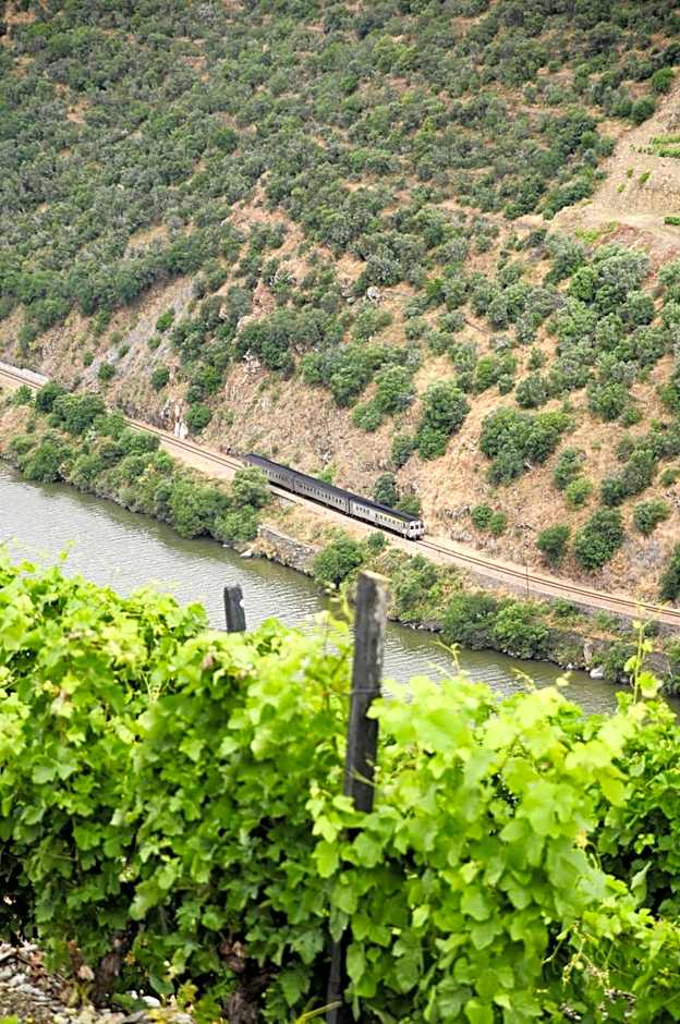 Hotel Rural Quinta Do Pego