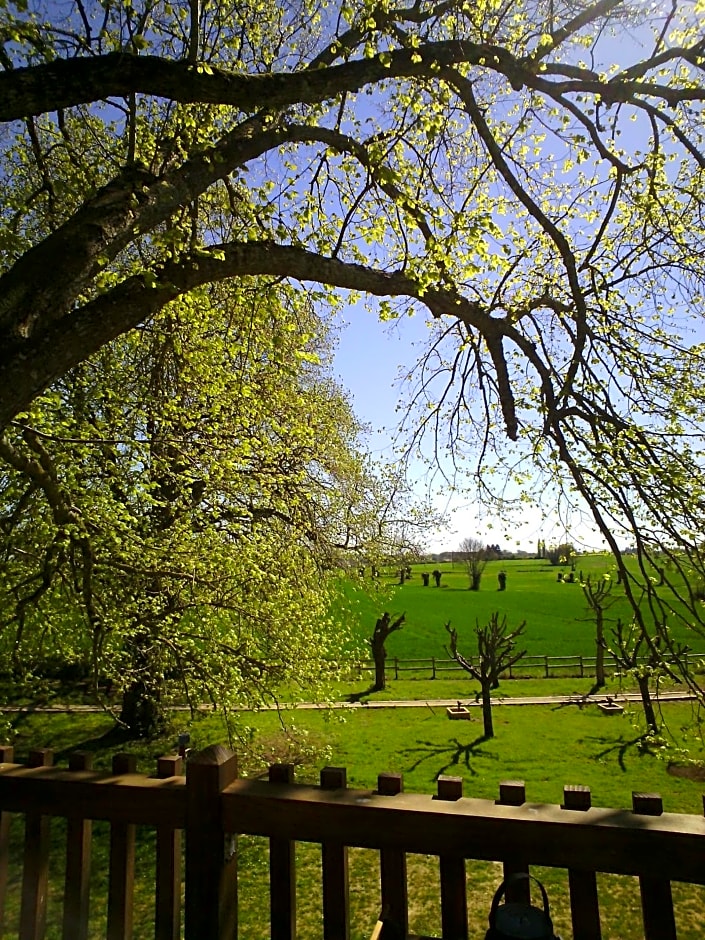 Les Cabanes de Gros Bois
