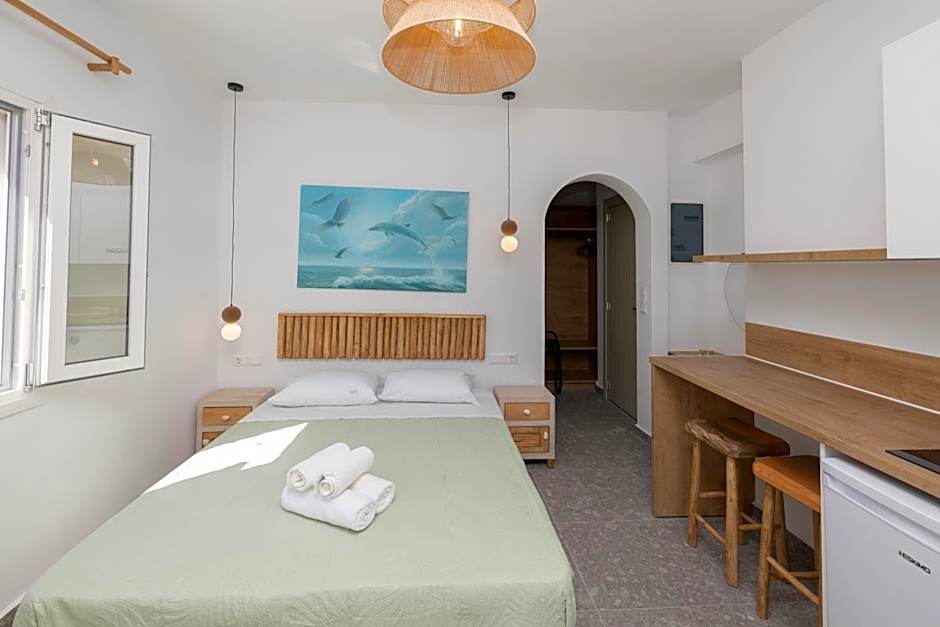 Delfinaki Boutique Apartments Lionas beach ,Naxos