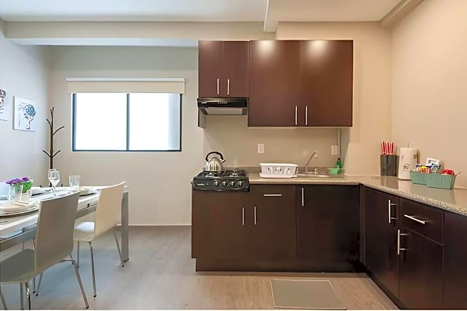 403 Walk to Zocalo 1Bdrm 1bath AC apt Rooftop