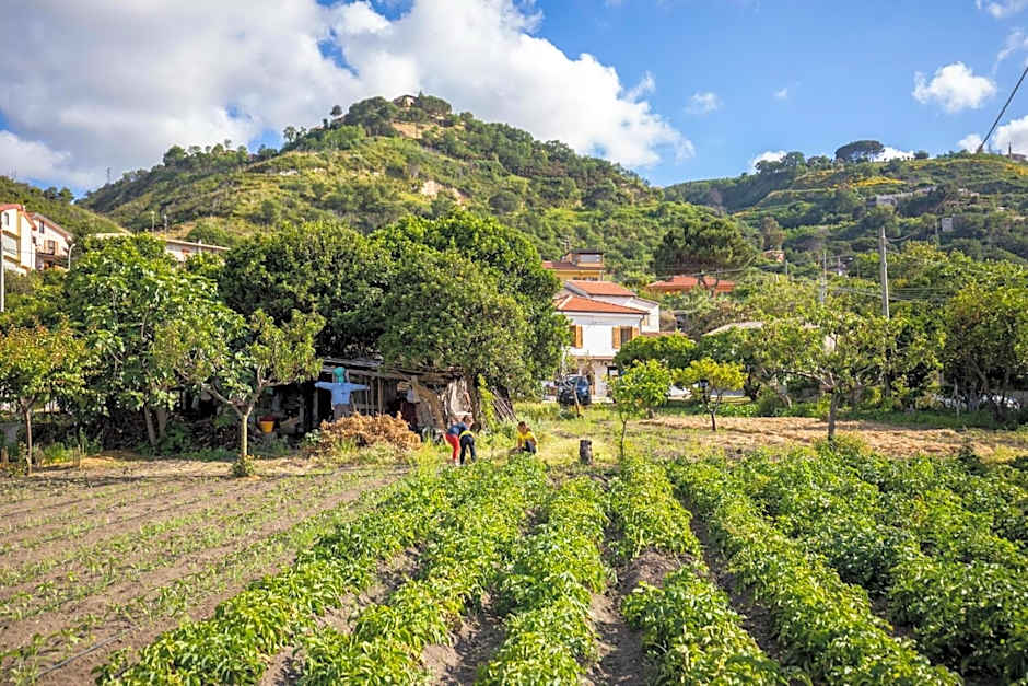 HibiscusUno Tropea Residence
