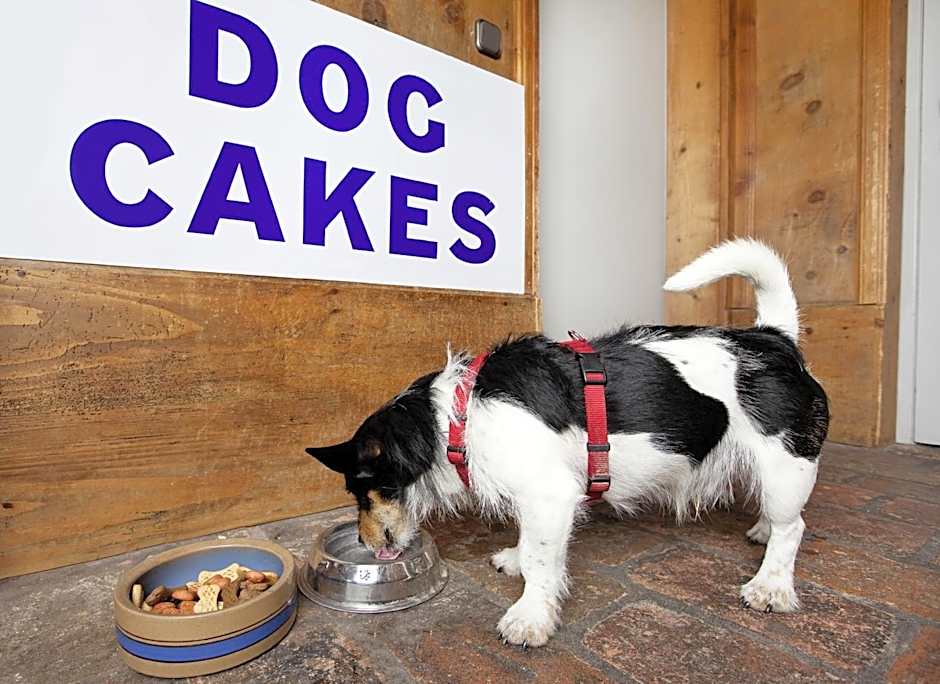 Appartement-Hotel Seespitz