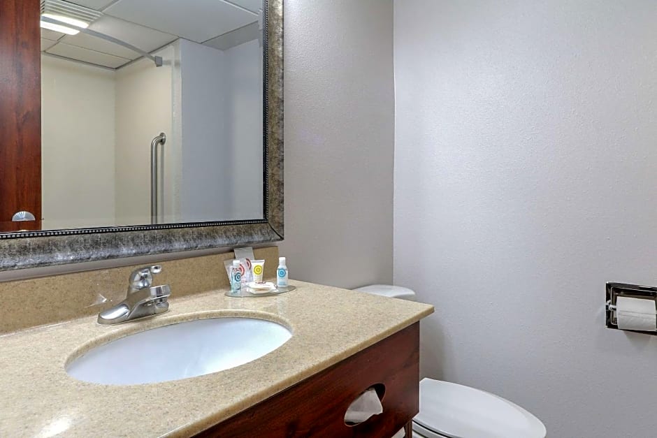 Comfort Inn & Suites At Dollywood Lane