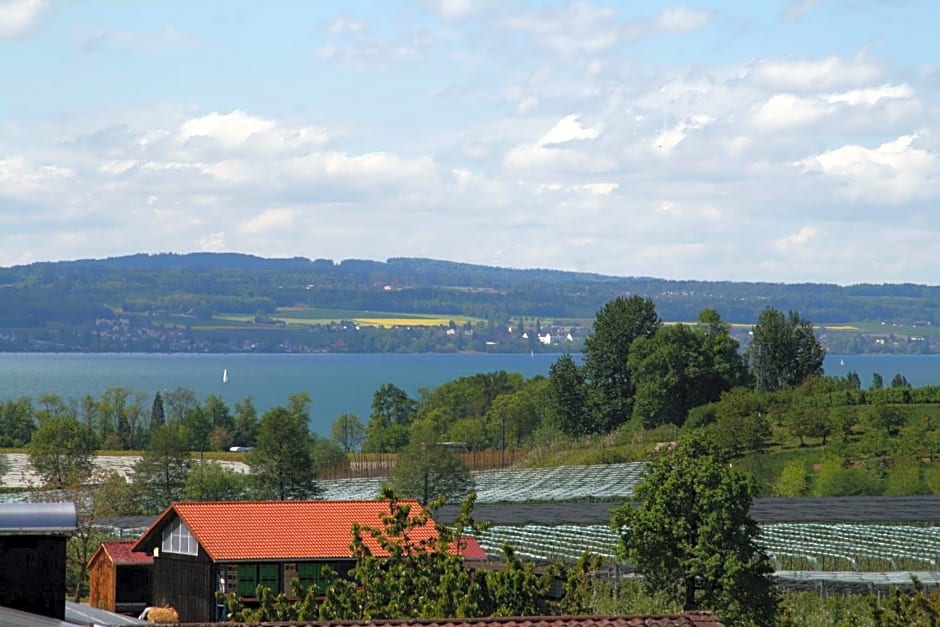 Waldvogel Ferienzimmer klimatisiert