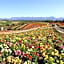 Habitasion