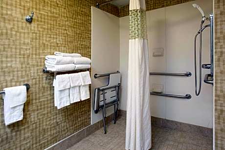 1 King Bed Nonsmoking