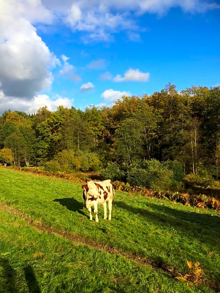 Home sweet home Ardennais