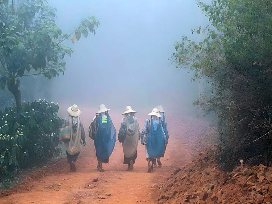 Annapara Home Stay In Vythiri - Wayanad