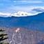 Soods Himalayan Vista