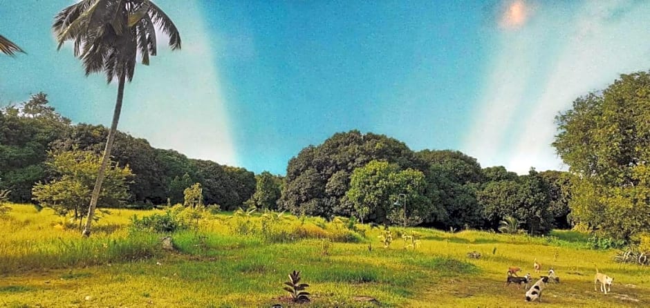 House of TamSe Laagans ' Inn