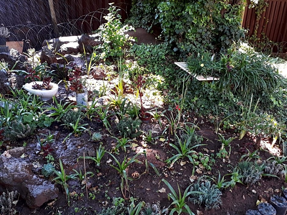 Upper Houghton Guesthouse