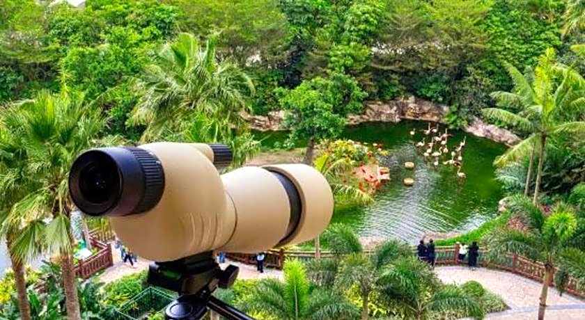 Chimelong Hengqin Bay Hotel