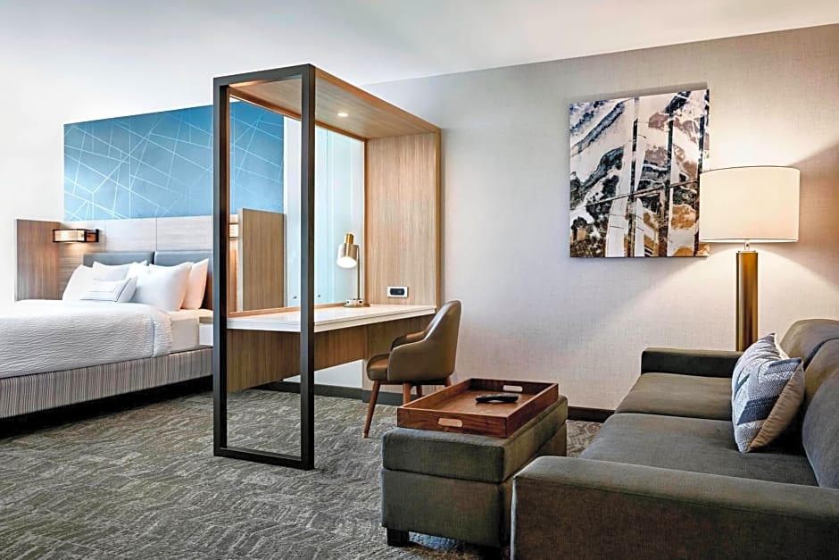 SpringHill Suites Atlanta Alpharetta/Roswell
