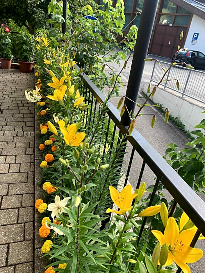 Apartment Hotel Elvis