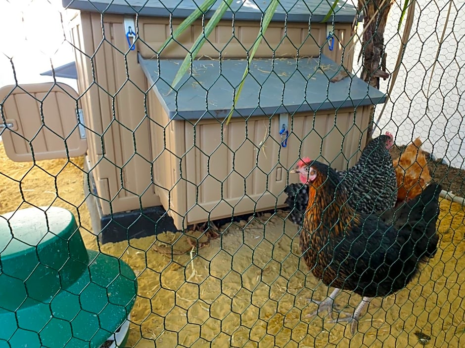 Best Area Close to Leeds Centre