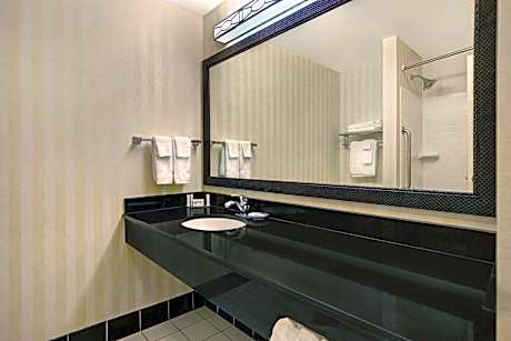 Studio, Multiple Beds (2 Queen Beds and 1 Double Sofa Bed)