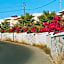 Creta Vitalis