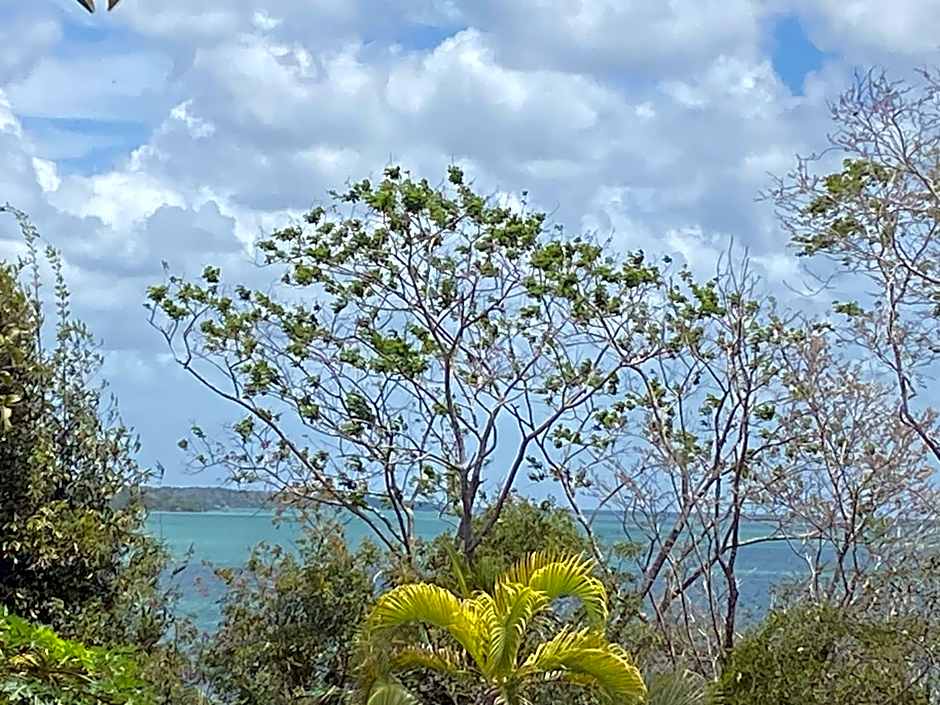 Maison Bacalar