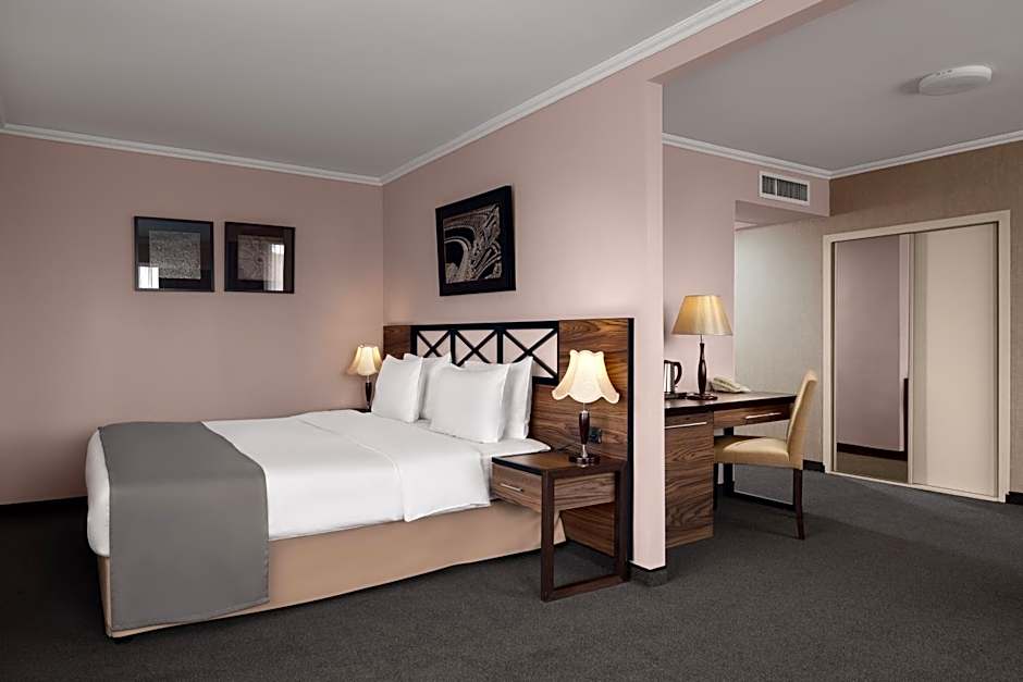 Ani Plaza Hotel