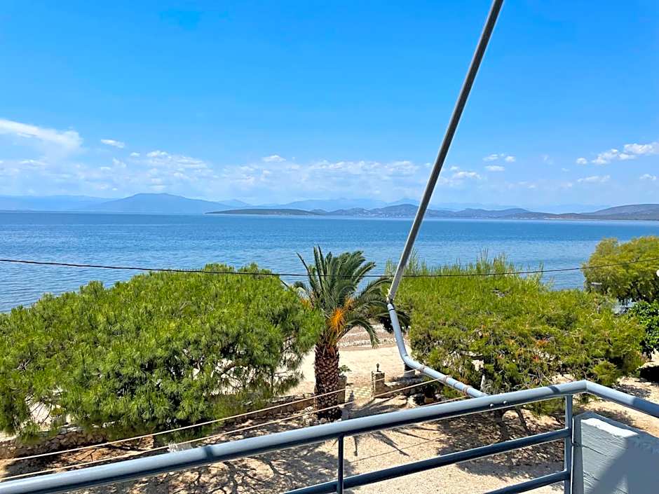 Photo 1 of 50 of Finikas