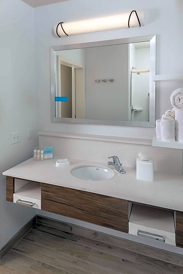 Hampton Inn By Hilton & Suites-Asheville Biltmore Village, NC