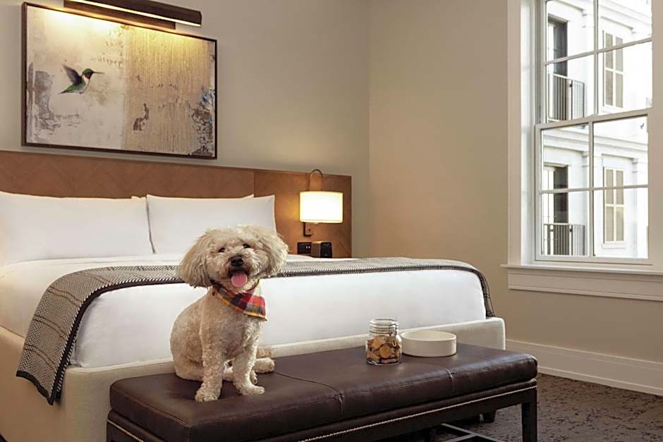 The Harpeth Downtown Franklin, Curio Collection by Hilton