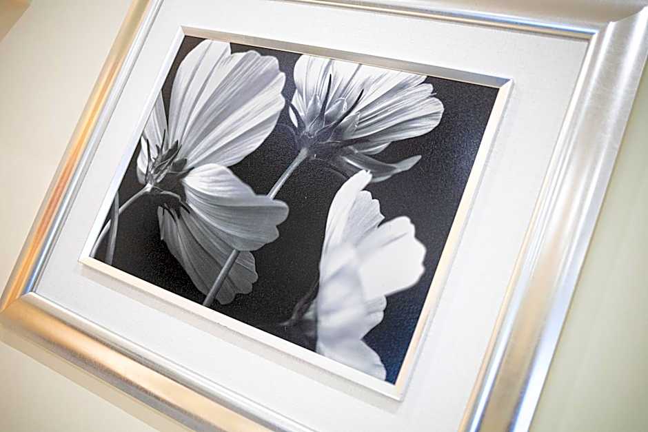 Sunny, The House - AL