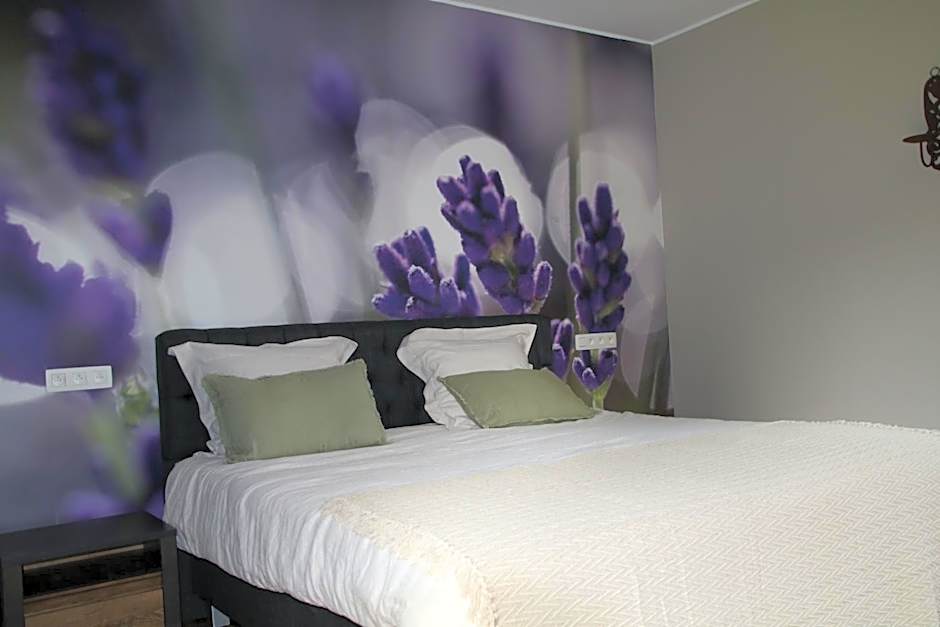 B&B Het Doctershoes