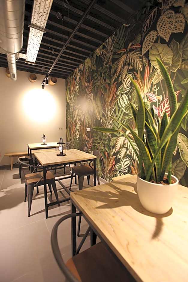 VTZ The Botanic Hostel