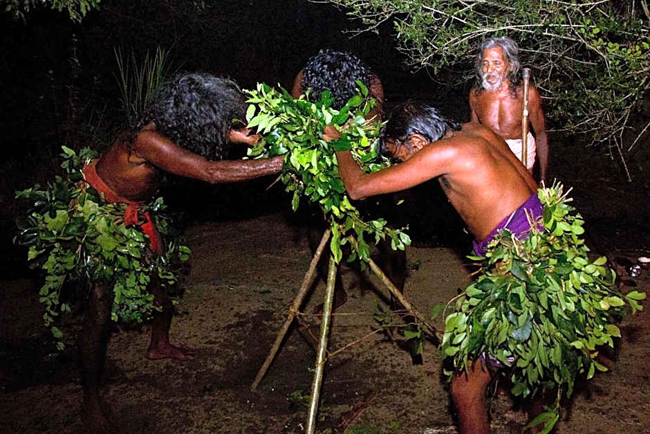 Explorer by Eco Team - Dambana