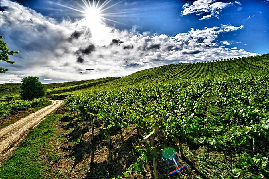 Borgo Baccile by Vini Fantini