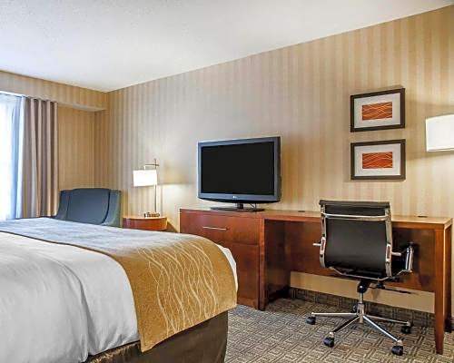 Comfort Inn & Suites Sturbridge-Brimfield