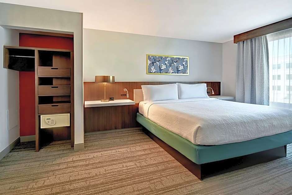 Hilton Garden Inn Houston/Galleria Area