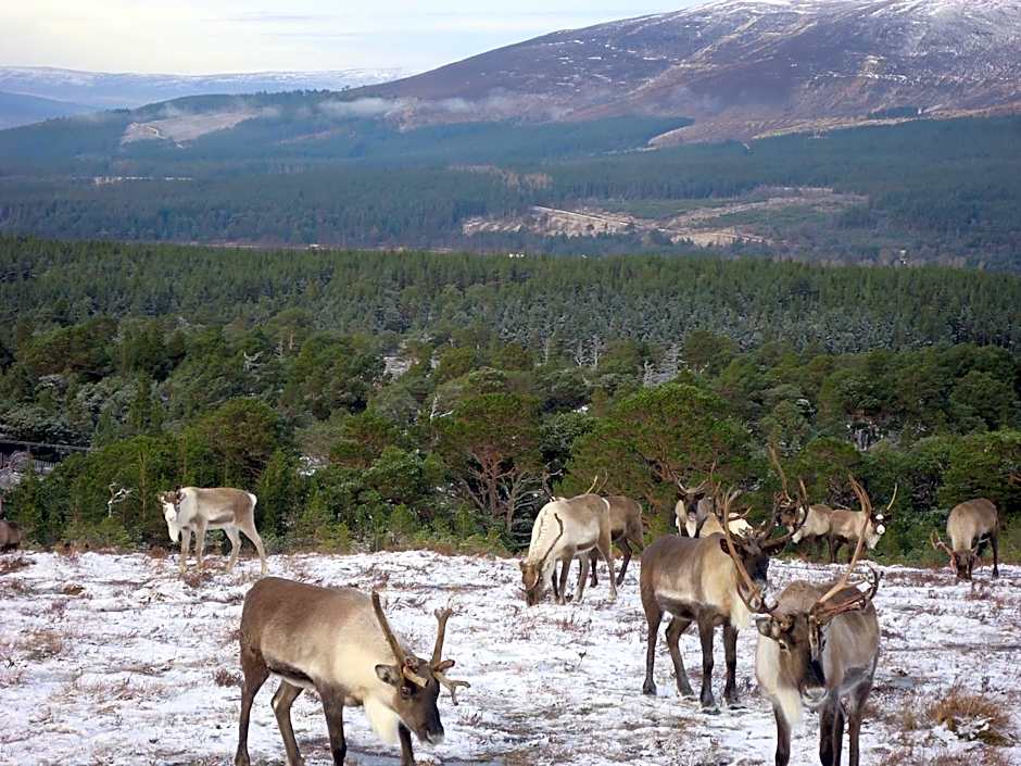 Dunroamin Bed and Breakfast