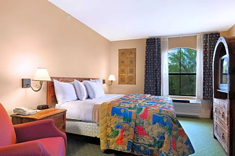 1 King Bed Smoking Suite With Free